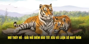 mơ thấy hổ