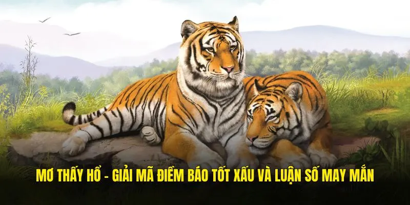 mơ thấy hổ